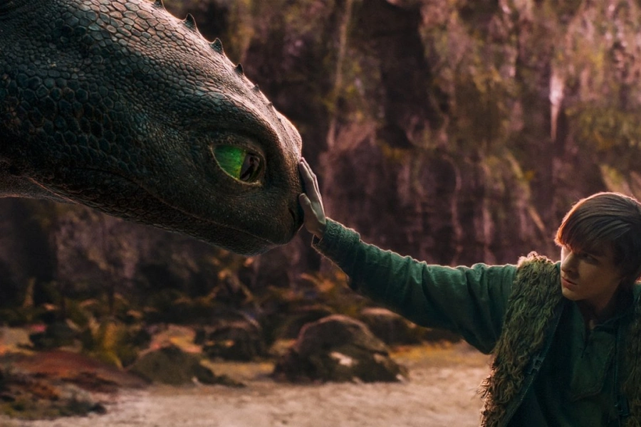 How to Train Your Dragon