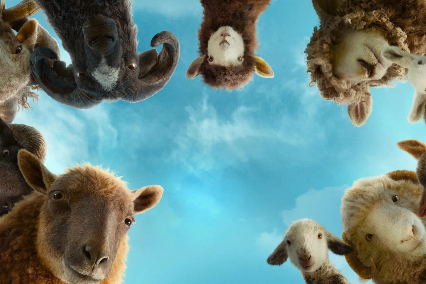 The Sheep Detectives